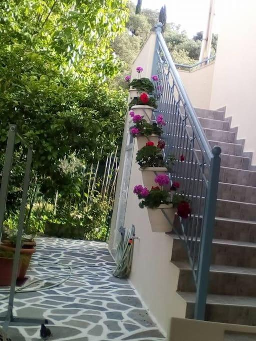Elen'S House Apartman Szívota Kültér fotó